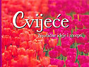CVIJEĆE - Neobične ideje i recepti-0 CVIJEĆE - Neobične ideje i recepti-0