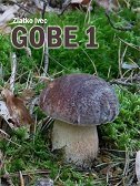 GOBE 1-0 GOBE 1-0