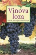 VINOVA LOZA - Sorte, sadnja i orezivanje-0
