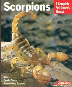 SCORPIONS - a complete pet owners manual (eng.)-0