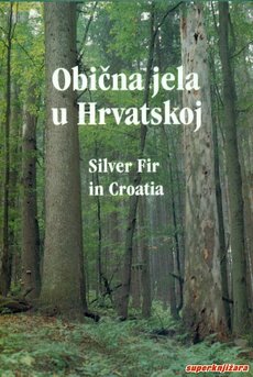 OBIČNA JELA U HRVATSKOJ - SILVER FIR IN CROATIA-0