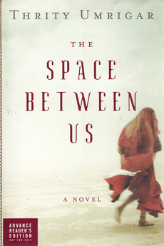 THE SPACE BETWEEN US (eng.)-0