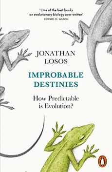 Improbable Destinies-0 Improbable Destinies-0
