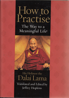 HOW TO PRACTISE - tHE WAY TO A MEANINGFUL LIFE-0