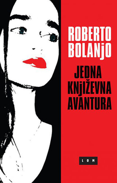 JEDNA KNJIŽEVNA AVANTURA-0 JEDNA KNJIŽEVNA AVANTURA-0
