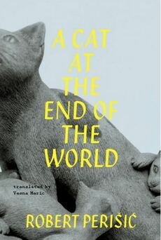 A CAT AT THE END OF THE WORLD-0 A CAT AT THE END OF THE WORLD-0