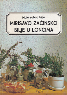 MIRISAVO ZAČINSKO BILJE U LONCIMA-0