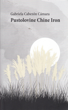 PUSTOLOVINE CHINE IRON-0