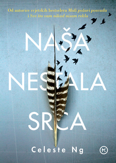 NAŠA NESTALA SRCA-0 NAŠA NESTALA SRCA-0