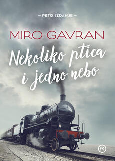 NEKOLIKO PTICA I JEDNO NEBO-0 NEKOLIKO PTICA I JEDNO NEBO-0