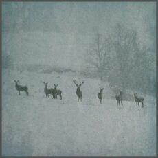 RAUHNACHT - WINTERSTILLE - 2LP ICEFROST SPLATTERVINYL-0 RAUHNACHT - WINTERSTILLE - 2LP ICEFROST SPLATTERVINYL-0