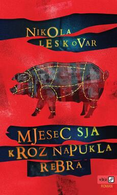 MJESEC SJA KROZ NAPUKLA REBRA-0 MJESEC SJA KROZ NAPUKLA REBRA-0