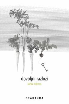 DOVOLJNI RAZLOZI i druge pjesme-0 DOVOLJNI RAZLOZI i druge pjesme-0