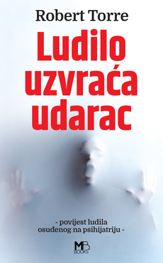 LUDILO UZVRAĆA UDARAC - Povijest ludila osuđenog na psihijatriju-0 LUDILO UZVRAĆA UDARAC - Povijest ludila osuđenog na psihijatriju-0
