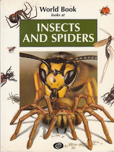 INSECTS AND SPIDERS (eng.)-0