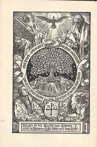 DIE BIBEL ODER GANZE HEILIGE SCHRIFT mit Bildern von Rudolf Schafer-3