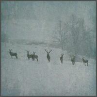 RAUHNACHT - WINTERSTILLE - 2LP ICEFROST SPLATTERVINYL-0